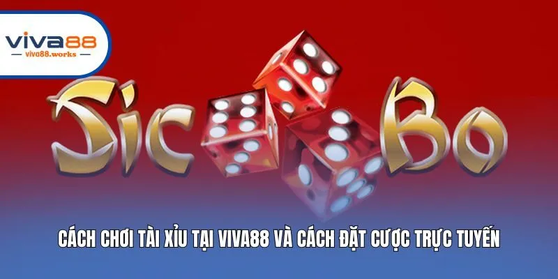 Cách Chơi Tài Xỉu Tại Viva88 Và Cách Đặt Cược Trực Tuyến