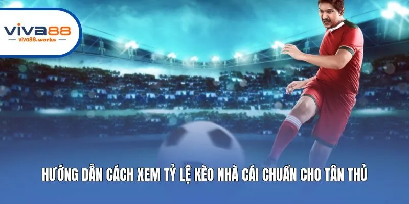 Hướng Dẫn Cách Xem Tỷ Lệ Kèo Nhà Cái Chuẩn Cho Tân Thủ