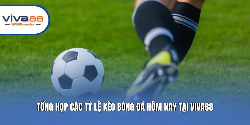 Tổng Hợp Các Tỷ Lệ Kèo Bóng Đá Hôm Nay Tại Viva88